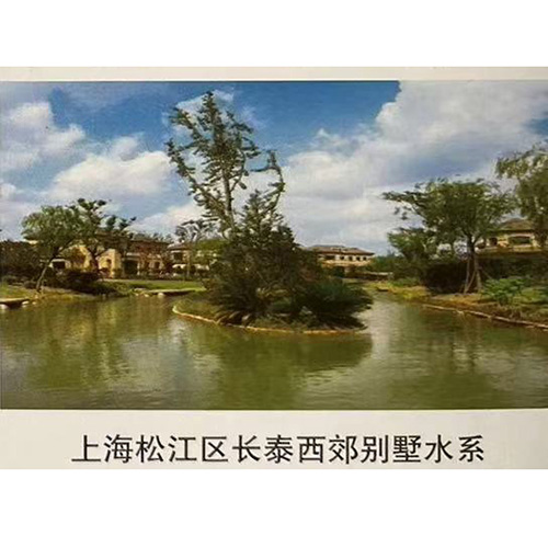 上海松江区长泰西郊别墅水系