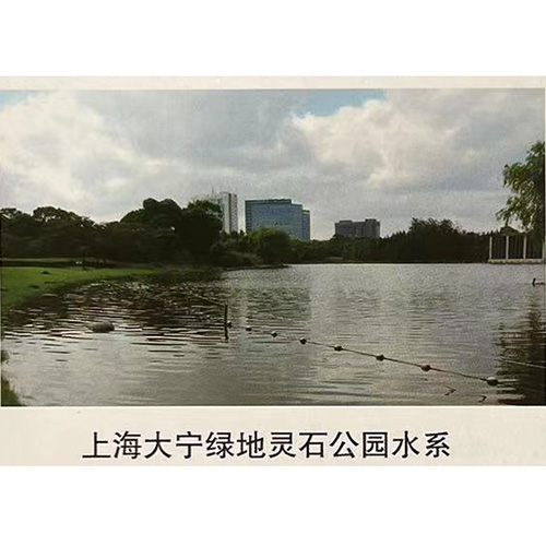 上海大宁绿地灵石公园水系